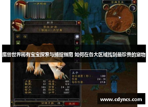 魔兽世界稀有宝宝探索与捕捉指南 如何在各大区域找到最珍贵的宠物